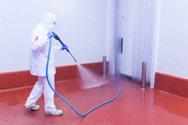 Professional Pressure Washing Services in Plano, TX